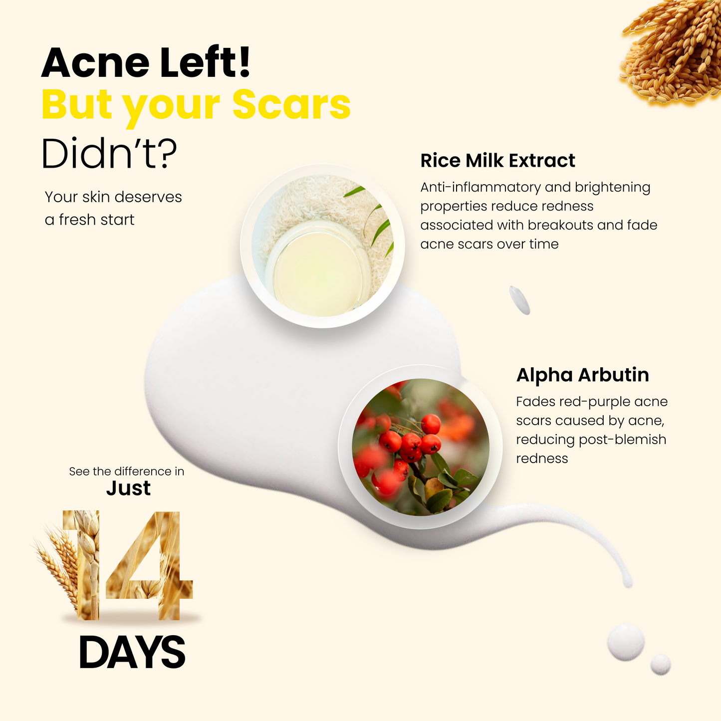 Rice Milk Brightening Serum | 20 ml