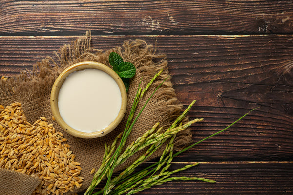 Rice Milk Extract